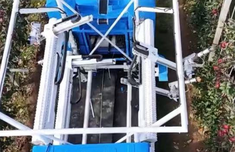 Nhận diện trái cây và rau củ